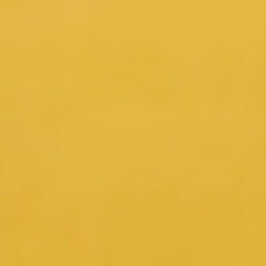 Meet your Posher, Bella